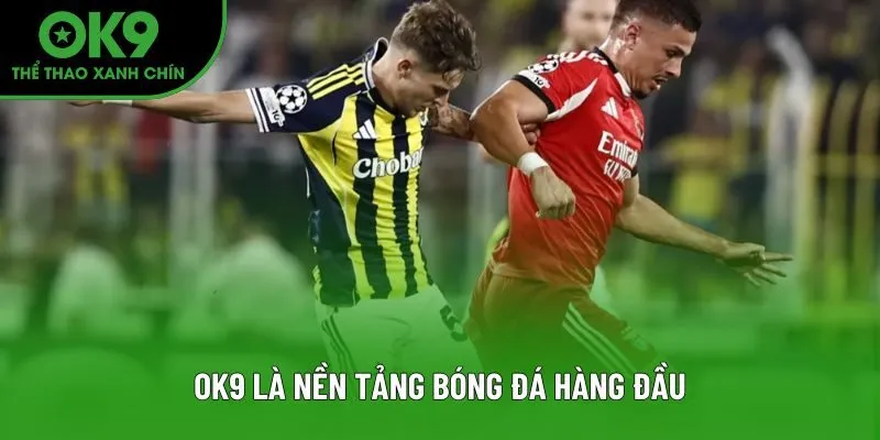 Bóng đá OK9 từ lâu đã có tiếng tăm trên thị trường Bóng đá OK9 từ lâu đã có tiếng tăm trên thị trường