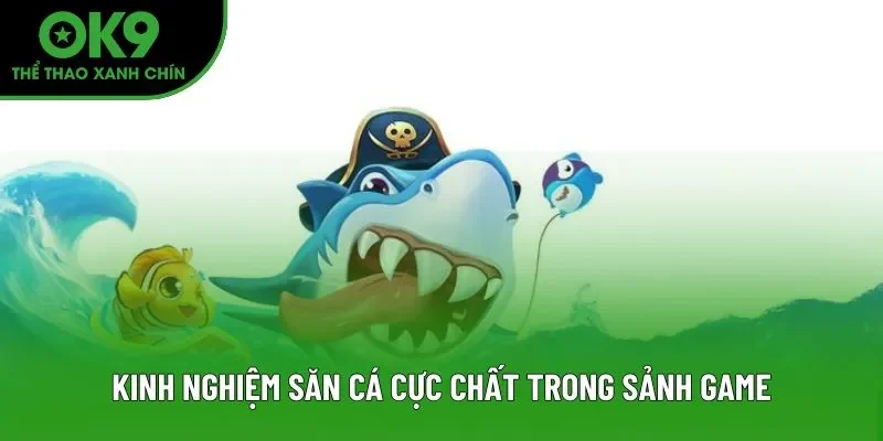 Kinh nghiệm săn cá cực chất trong sảnh game Kinh nghiệm săn cá cực chất trong sảnh game