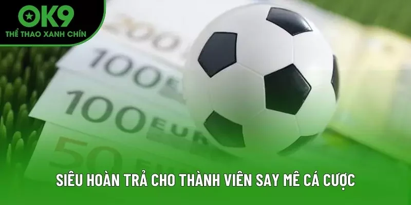Siêu hoàn trả cho thành viên say mê cá cược Siêu hoàn trả cho thành viên say mê cá cược