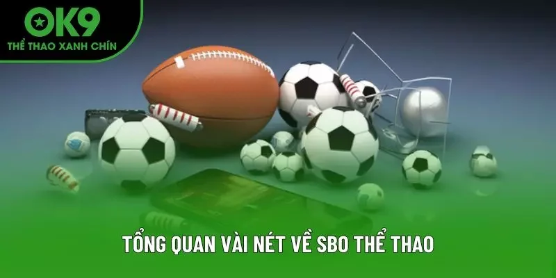 Tổng quan vài nét về SBO Thể Thao Tổng quan vài nét về SBO Thể Thao